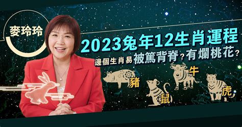 2023兔年門口地氈顏色|【2023兔年運程】麥玲玲2023年兔年九宮飛星圖：擺放年花、地。